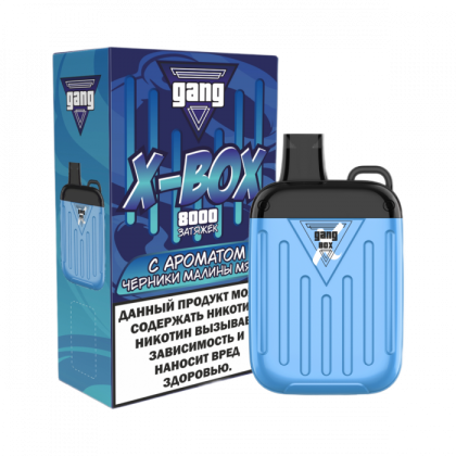 Gang BOX 8000 - Черника Малина Мята
