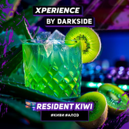 DARKSIDE XPERIENCE (Киви Алоэ) 30гр