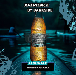 DARKSIDE XPERIENCE (Имбирь газировка) 30гр