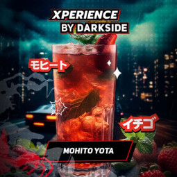 DARKSIDE XPERIENCE (Мохито клубника) 30гр