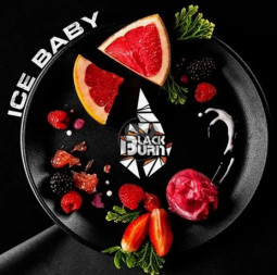 BLACK BURN - Ice baby 25гр
