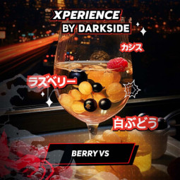 DARKSIDE XPERIENCE (Бел. виноград, малина, черн. смородина) 30гр