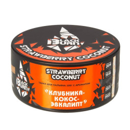 BLACK BURN - Strawberry Coconut 25гр