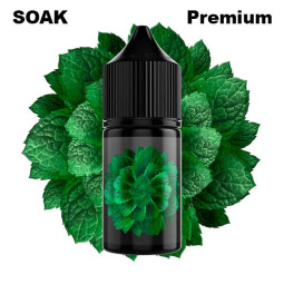 Жидкость SOAK 20mg - Тросниковая мята