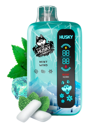 Husky Air Max Pro - Mint Wind