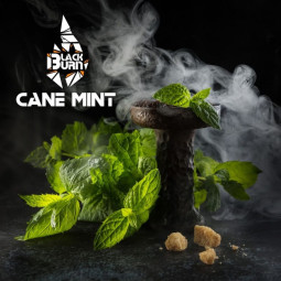 BLACK BURN - Cane Mint 25гр