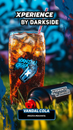 DARKSIDE XPERIENCE (Vandal Cola) 30гр